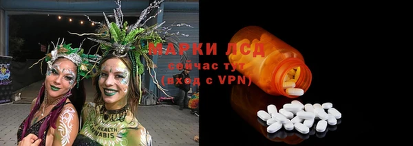 сатива Грязи